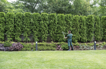 tree-pruning