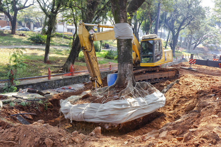 How Crane-Assisted Tree Removal Works and Why It’s Highly Effective