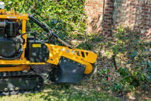 The Hidden Dangers of Ignoring Tree Stump Removal