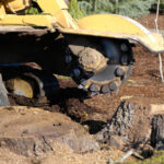 Why Stump Removal Is Essential for a Healthy Yard