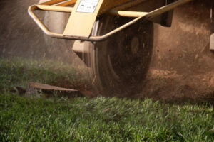 Why Tree Stump Removal Is Essential for Safe Landscaping Projects