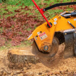 Stump Grinding and Tree Removal: Stop Structural Damage