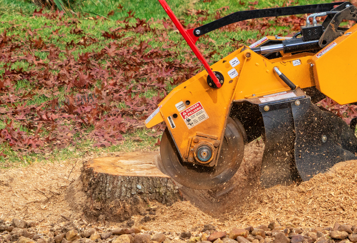 Stump Grinding and Tree Removal: Stop Structural Damage