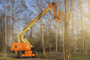 Tree Removal Services That Prepare Land for New Construction