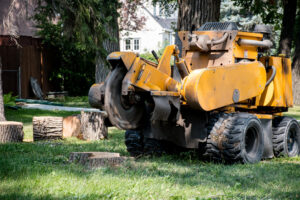 Tree Stump Removal or Stump Grinding What's Best for You