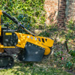 The Role of Tree Stump Removal in Creating Space for New Landscaping Projects