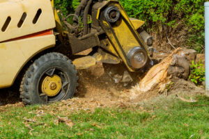Why Tree Stump Removal Is Critical Before Installing Sprinkler or Drainage Systems