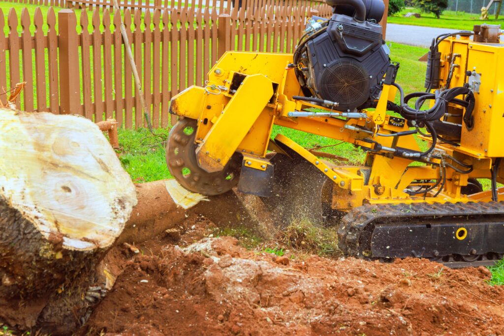 Common Mistakes Homeowners Make When Skipping Tree Stump Removal