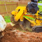 Common Mistakes Homeowners Make When Skipping Tree Stump Removal