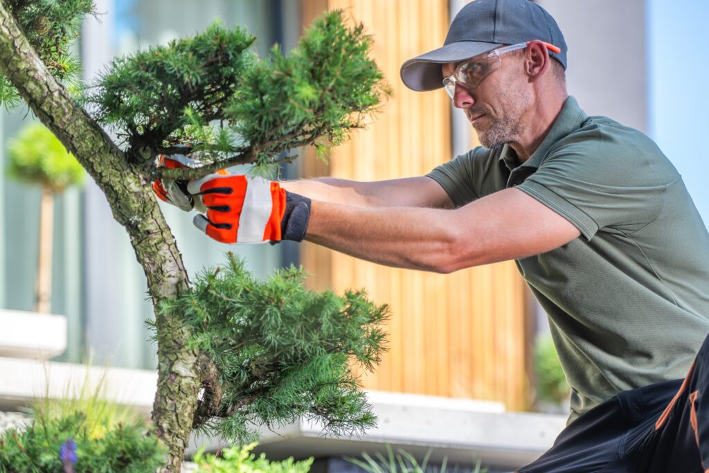 How Expert Tree Maintenance Services Can Prevent Storm Damage