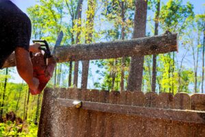 How Tree Removal Service Experts Assess Risk Before Removing Trees