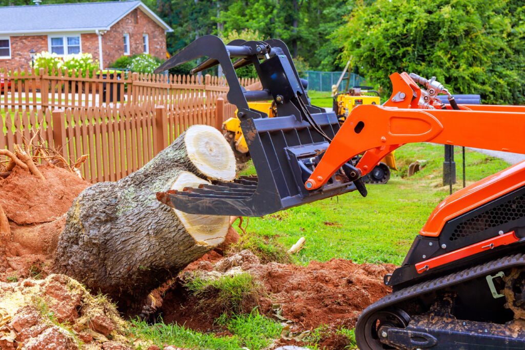 How Tree Stump Removal Can Improve Lawn Maintenance and Growth