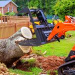 How Tree Stump Removal Can Improve Lawn Maintenance and Growth