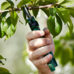 5 Smart Reasons You Should Schedule Professional Tree Pruning Before Spring Growth