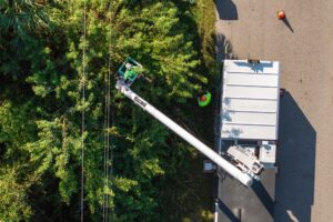 How Neglected Trees Cause Costly Property Damage