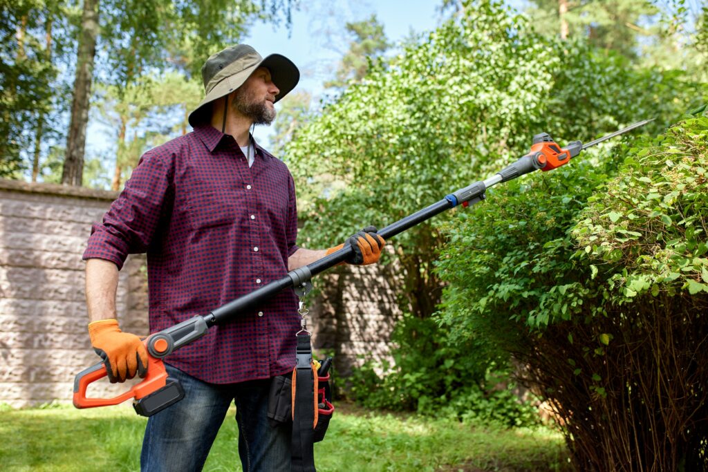 Arborist performing tree pruning for young vs mature trees to maintain healthy growth and structure
