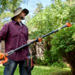 Arborist performing tree pruning for young vs mature trees to maintain healthy growth and structure