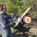 Professional crew scheduling tree trimming services for homeowners to maintain healthy trees and safe property