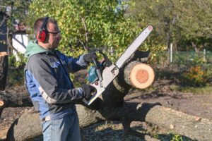 Professional crew scheduling tree trimming services for homeowners to maintain healthy trees and safe property
